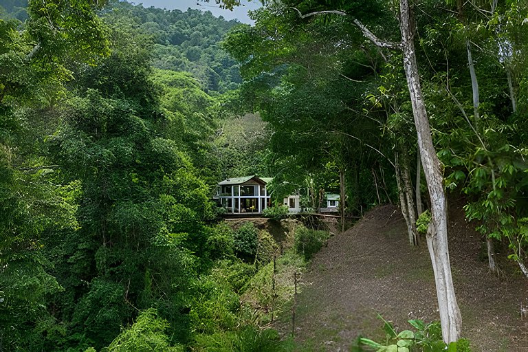 Private Jungle Home Surrounded by 2 Creeks