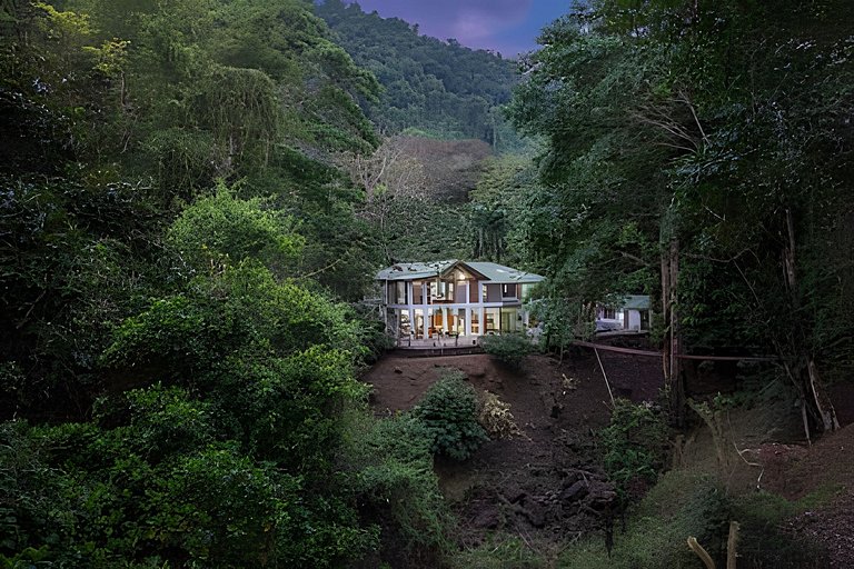 The Jungle Inn